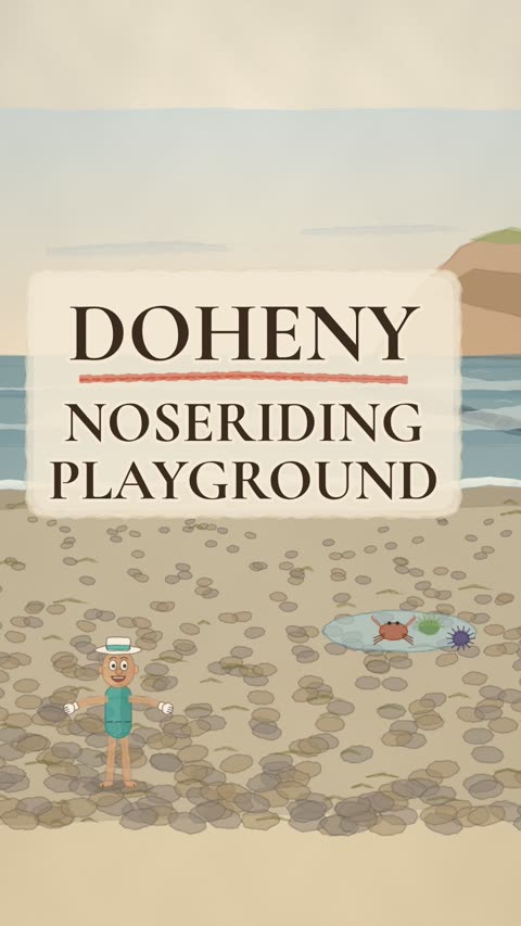 Doheny noseriding playground